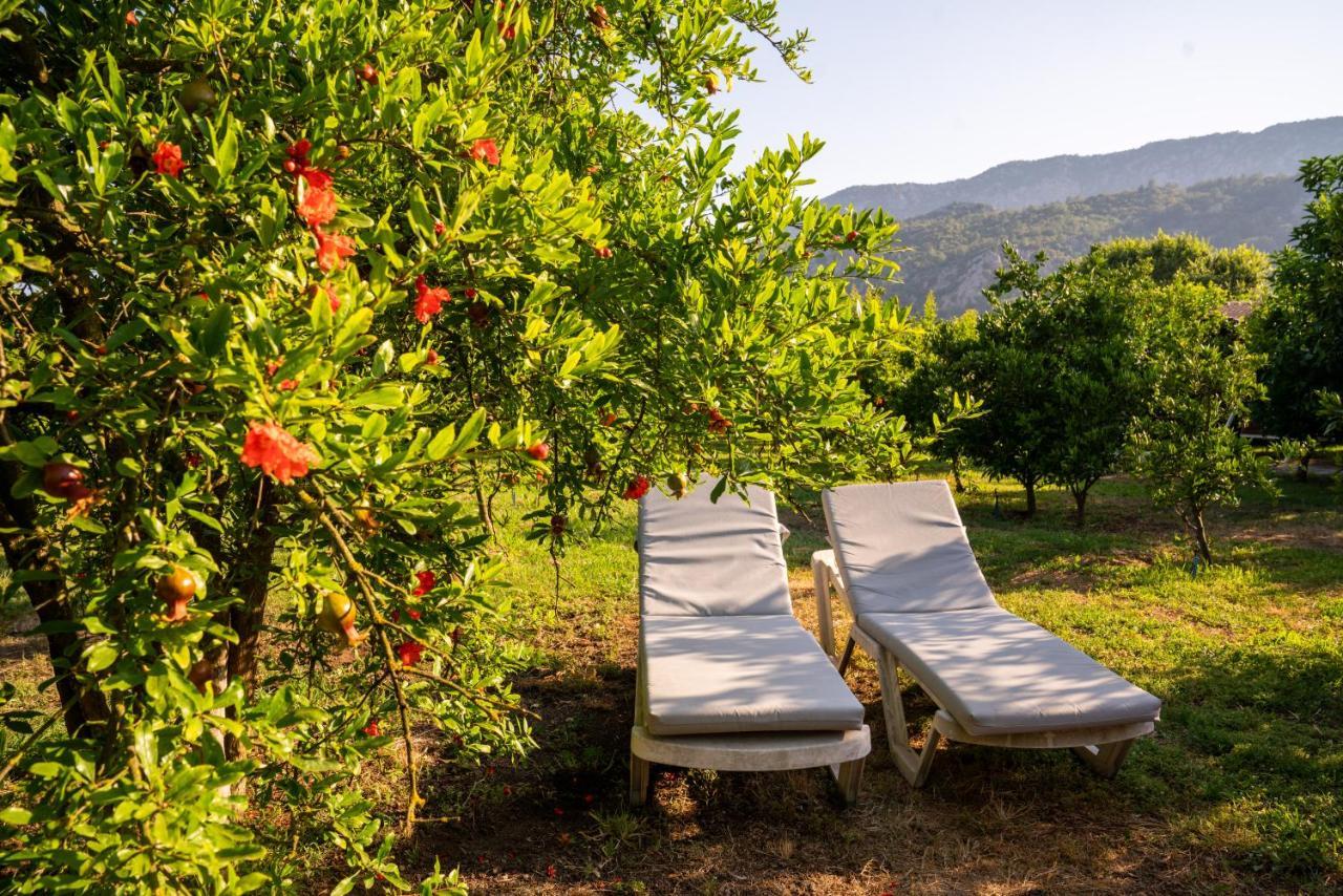 Ikiz Villas Çıralı Eksteriør billede
